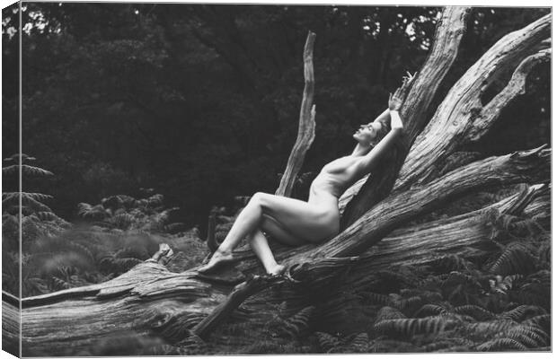 Hiraeth 90 Suzzi - Landscape Art Nude  Canvas Print by Henry Clayton