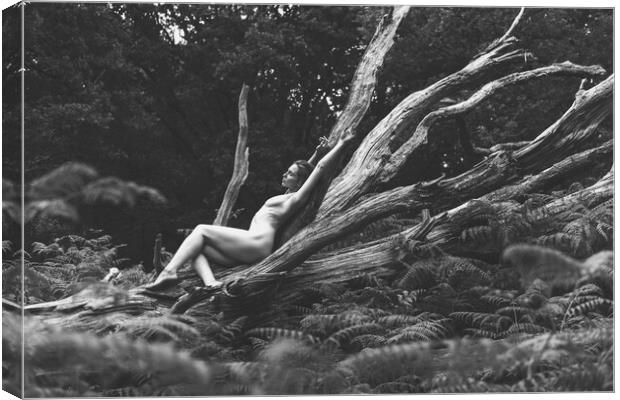 Hiraeth 88 Suzzi - Landscape Art Nude  Canvas Print by Henry Clayton