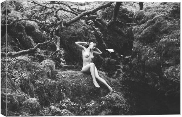 Hiraeth 027 Valentina L'Abbate - Landscape Art Nude  Canvas Print by Henry Clayton