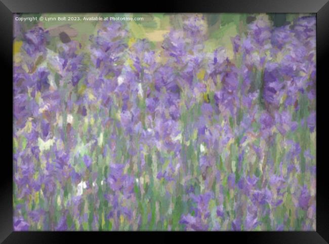 Lavender Impression Framed Print by Lynn Bolt