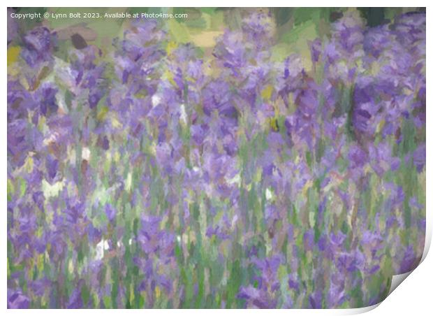 Lavender Impression Print by Lynn Bolt