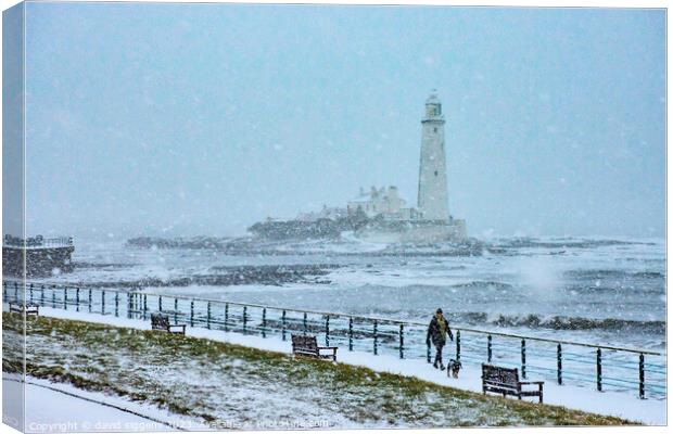 Whitley Bay lighthouse winter postcard Canvas Print by david siggens