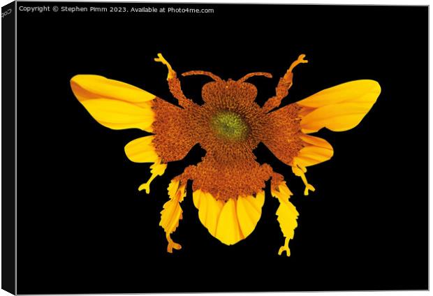 Sunflower Bee Silhouette Canvas Print by Stephen Pimm