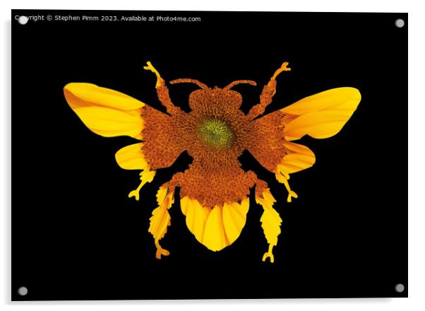 Sunflower Bee Silhouette Acrylic by Stephen Pimm