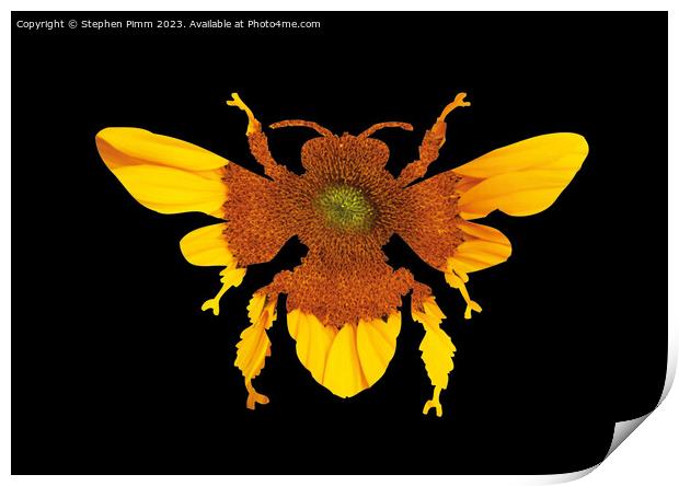 Sunflower Bee Silhouette Print by Stephen Pimm