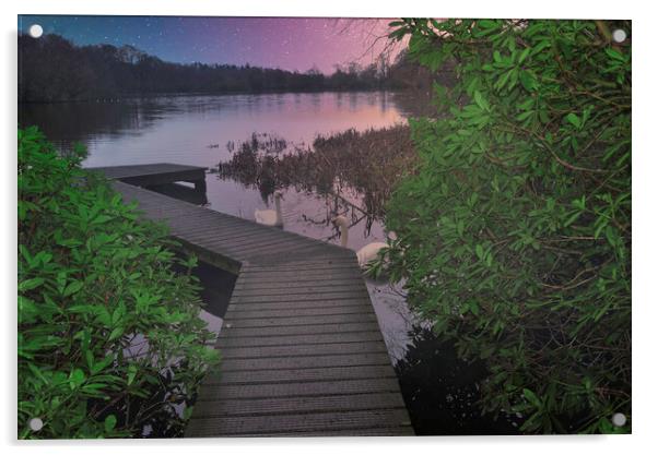 A night on the lake Acrylic by simon cowan
