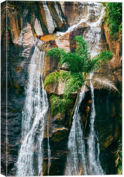 Majestic waterfall in Minas Gerais, Brazil deep in the jungle Canvas Print by Alexandre Rotenberg
