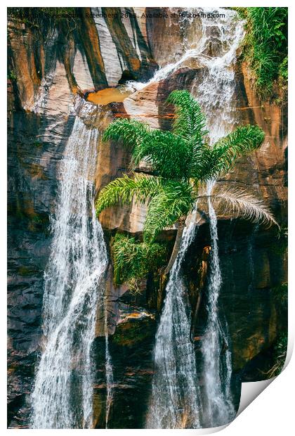 Majestic waterfall in Minas Gerais, Brazil deep in the jungle Print by Alexandre Rotenberg
