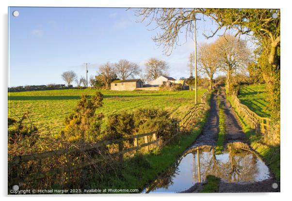  Soft winter sunlight on a flooded farm lane  Acrylic by Michael Harper