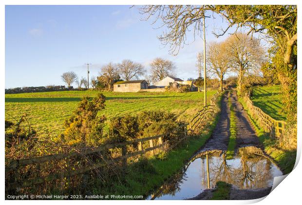  Soft winter sunlight on a flooded farm lane  Print by Michael Harper