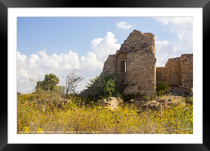 Ancient Ruins in a Wild Flower Meadow Framed Mounted Print by Michael Harper