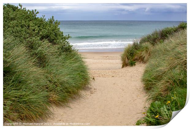Sand dunes and the beach at Port Ballintrae  Print by Michael Harper