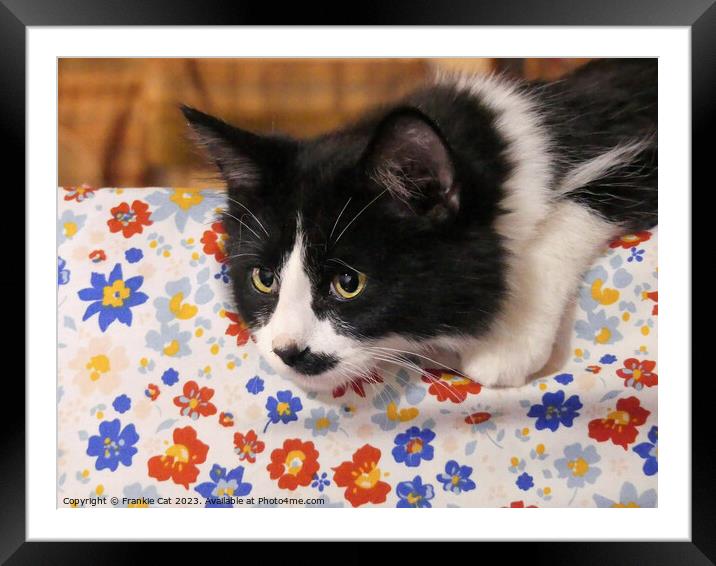 Tuxedo Cat Framed Mounted Print by Frankie Cat
