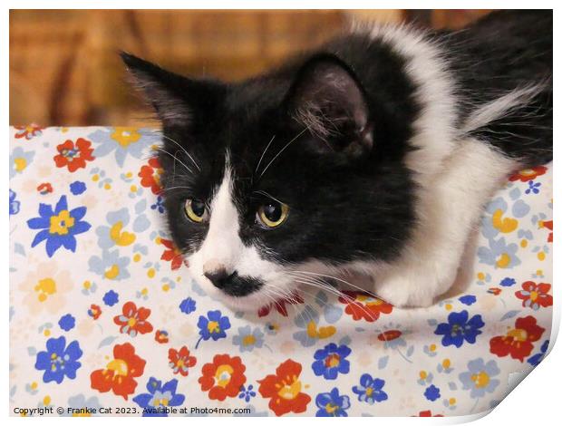 Tuxedo Cat Print by Frankie Cat