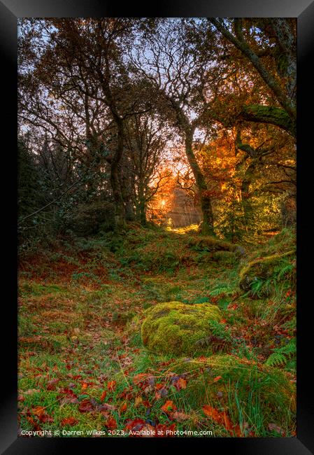 Gwydir Forest Llyn Geirionydd Llanrwst Framed Print by Darren Wilkes