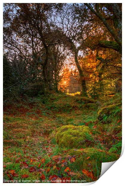 Gwydir Forest Llyn Geirionydd Llanrwst Print by Darren Wilkes