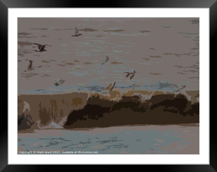Wind, Waves, and Wings. Framed Mounted Print by Mark Ward