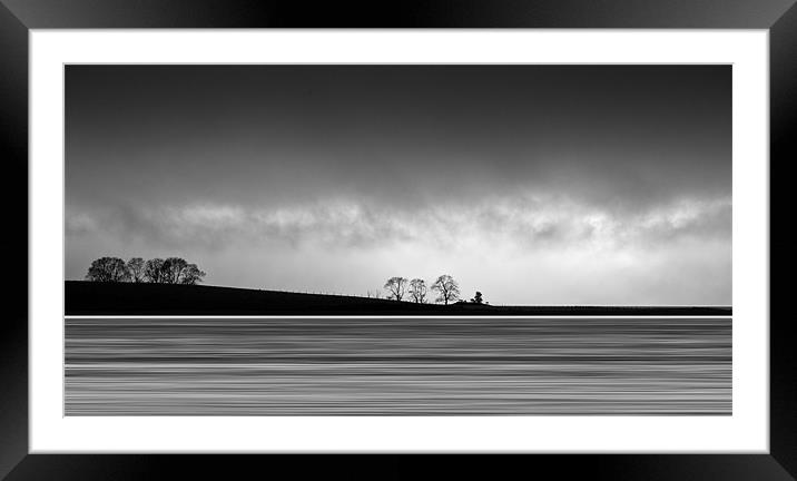 Tree lines Framed Mounted Print by Gary Eason
