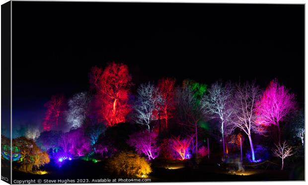 Colourful trees at night Canvas Print by Steve Hughes