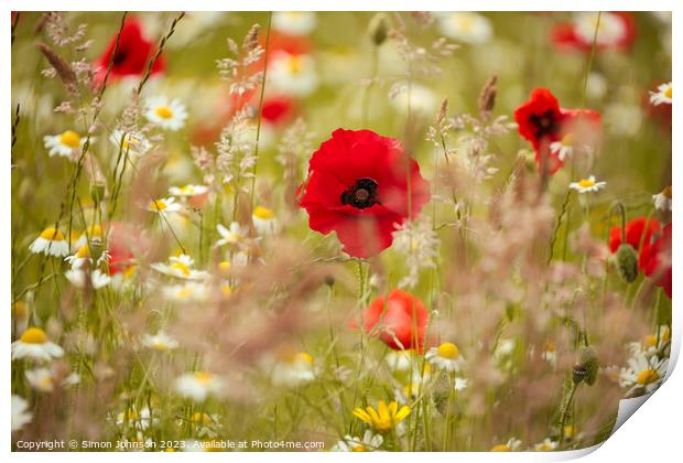 A close up of a flower Print by Simon Johnson