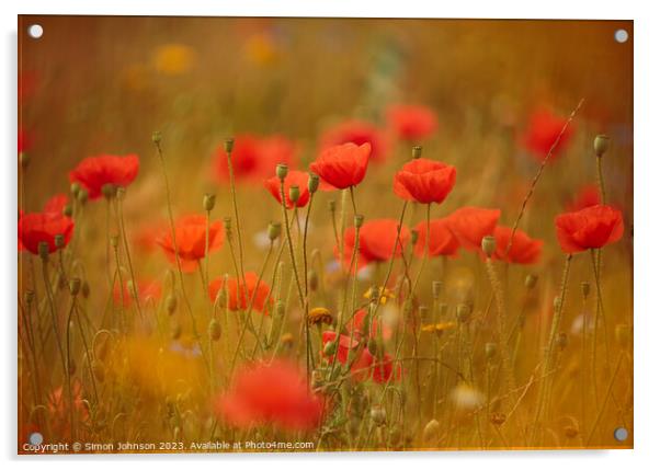 Outdoor field Acrylic by Simon Johnson