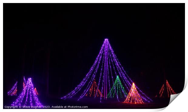 LED Christmas trees, Wisley Glow Print by Steve Hughes