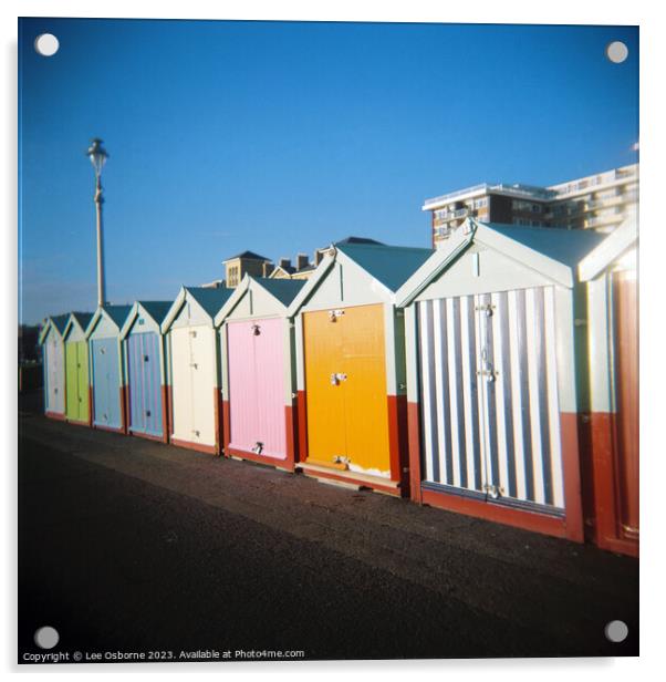 Beach Huts, Brighton Acrylic by Lee Osborne