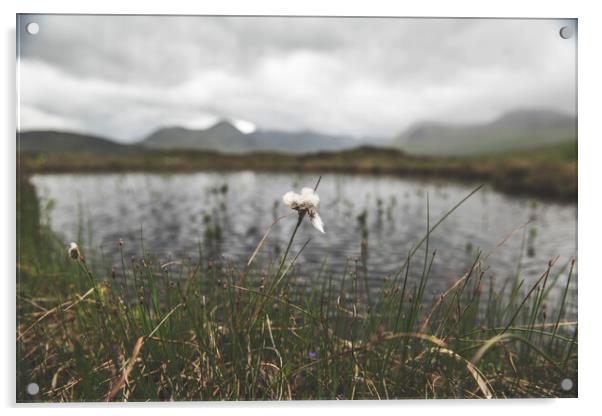 Landscapes Photography of Glencoe region of Scotland, UK. Acrylic by Henry Clayton