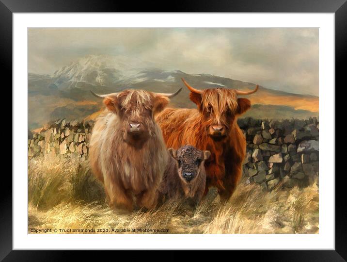 Hairy Coo's Framed Mounted Print by Trudi Simmonds
