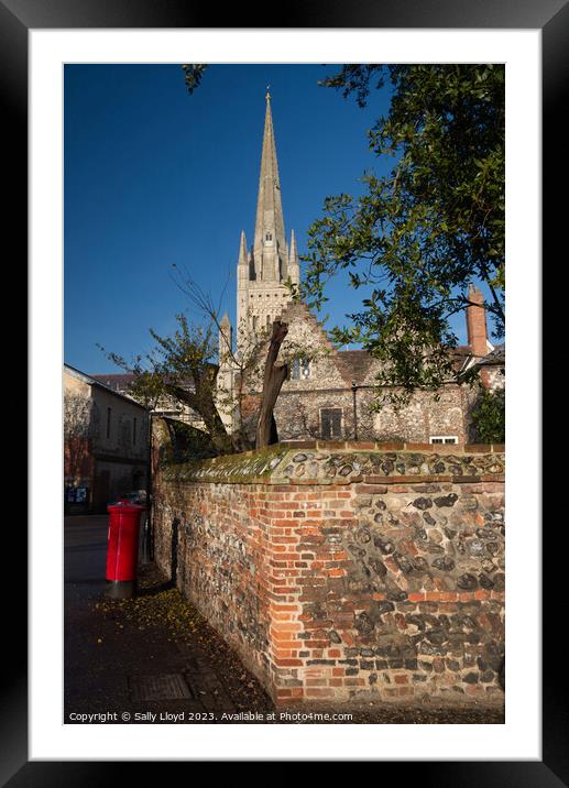 Norwich Cathedral and red post box Framed Mounted Print by Sally Lloyd