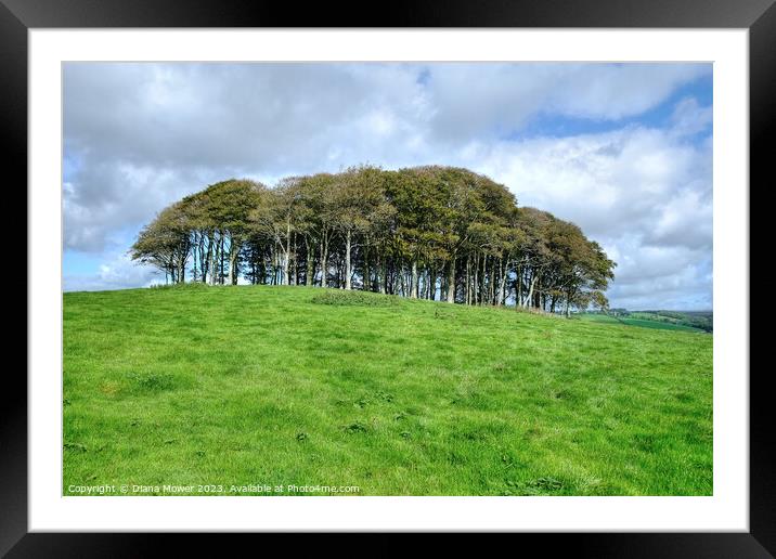 The Nearly Home trees A30 Landmark Framed Mounted Print by Diana Mower