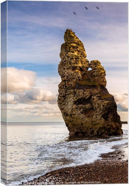 Liddle Sea Stack Chemical Beach Canvas Print by David Lewins (LRPS)