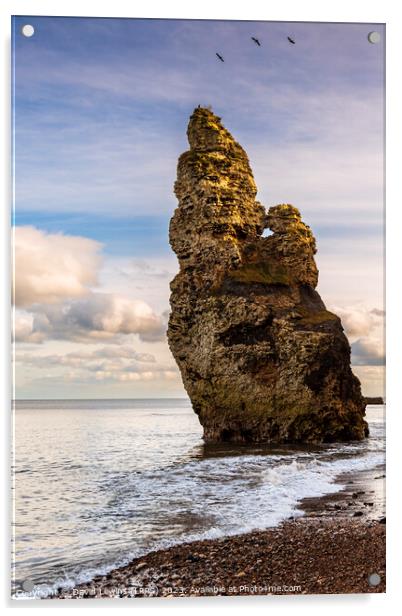 Liddle Sea Stack Chemical Beach Acrylic by David Lewins (LRPS)