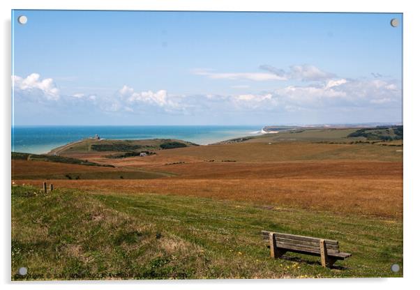 View across South Downs to the English Channel Acrylic by Sally Wallis