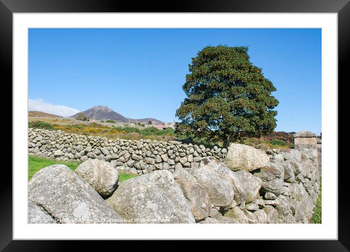 A dry stone wall and mountain peaks n the world fa Framed Mounted Print by Michael Harper