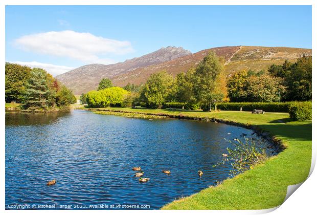 Lake in the Silent Valley Mountain Park N Ireland Print by Michael Harper