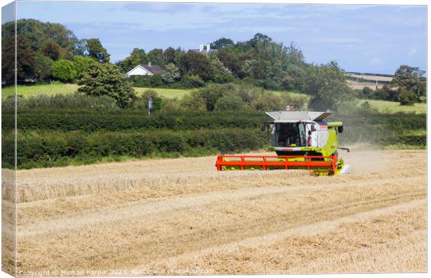 A Cllaas lexion 570 Combine Harvester  Canvas Print by Michael Harper