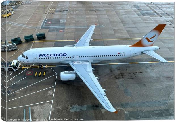 Freebird Airlines Airbus a320 Canvas Print by David Pyatt