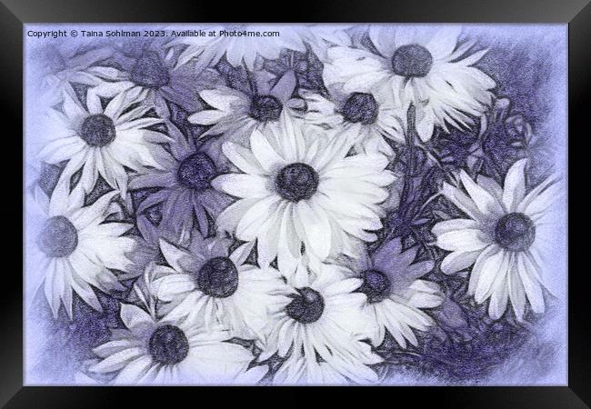 Rudbeckia Flowers Digital Art in Tones of Lavender Framed Print by Taina Sohlman