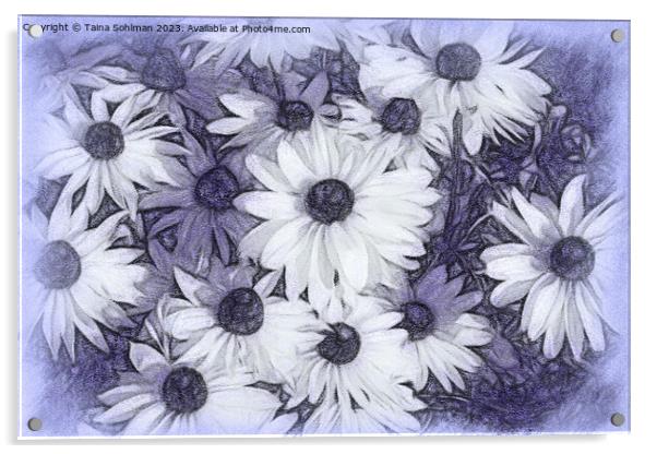 Rudbeckia Flowers Digital Art in Tones of Lavender Acrylic by Taina Sohlman