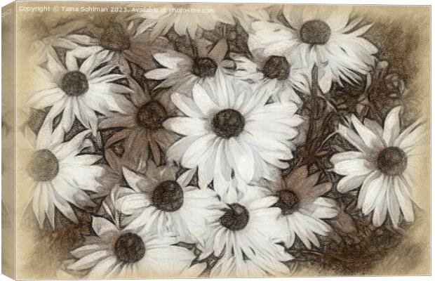 Rudbeckia Flowers Digital Art in Tones of Sepia Canvas Print by Taina Sohlman