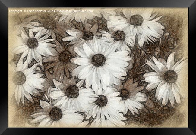 Rudbeckia Flowers Digital Art in Tones of Sepia Framed Print by Taina Sohlman