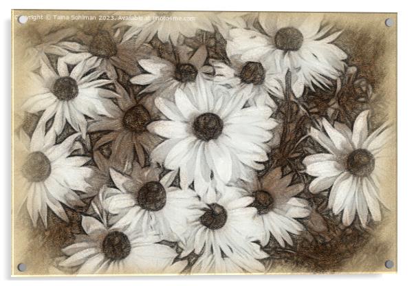 Rudbeckia Flowers Digital Art in Tones of Sepia Acrylic by Taina Sohlman