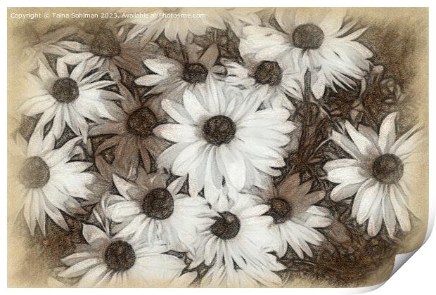 Rudbeckia Flowers Digital Art in Tones of Sepia Print by Taina Sohlman