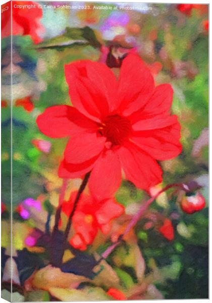 Red Dahlia Canvas Print by Taina Sohlman