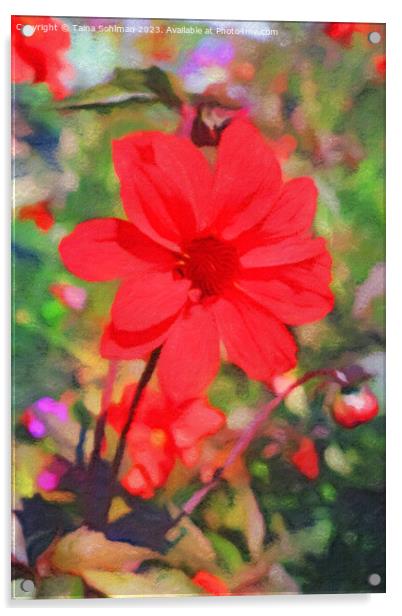 Red Dahlia Acrylic by Taina Sohlman