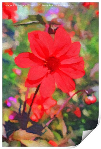 Red Dahlia Print by Taina Sohlman