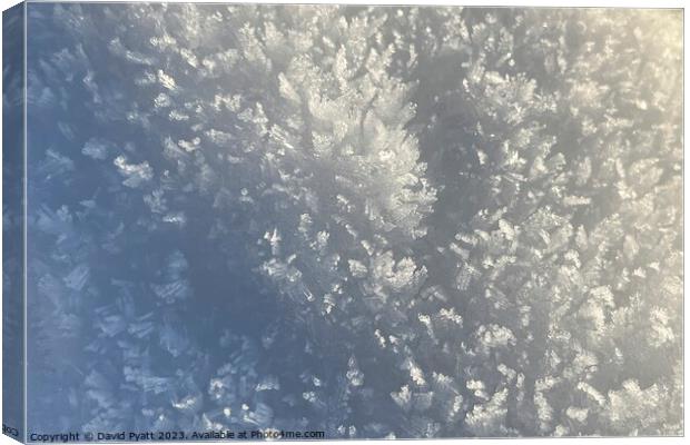 Snow Crystal Sunlight  Canvas Print by David Pyatt