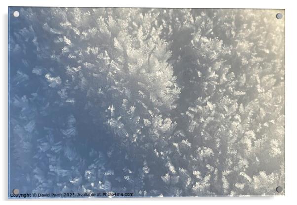 Snow Crystal Sunlight  Acrylic by David Pyatt