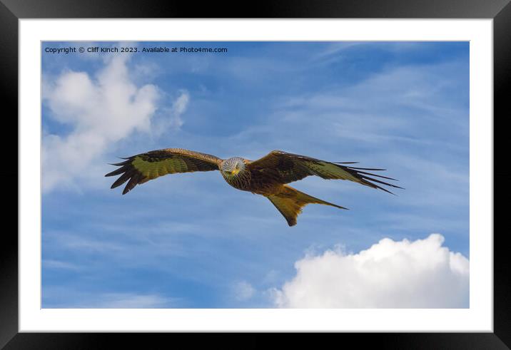 Red Kite in flight Framed Mounted Print by Cliff Kinch
